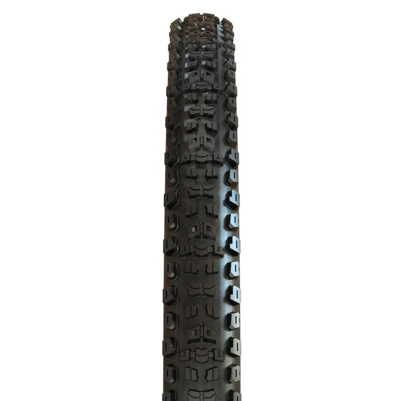 aggressor-tr-souple-exo-tubeless-ready (2).webp